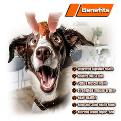 Collection image for: Pet Food