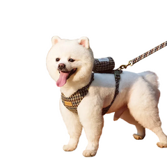 Collection image for: Dog Leashes