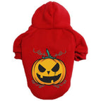 Pumpkin Red / XS