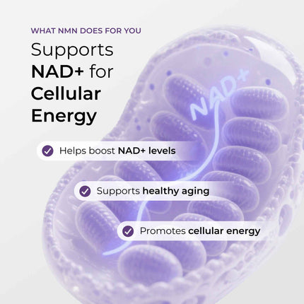 NMN Capsules 500MG
