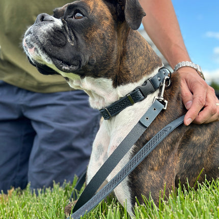 Celtic Sport Leather Dog Leash
