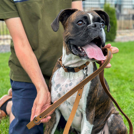 Celtic Sport Leather Dog Leash