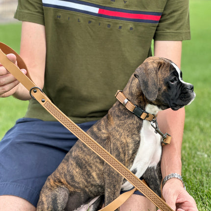 Celtic Sport Leather Dog Leash