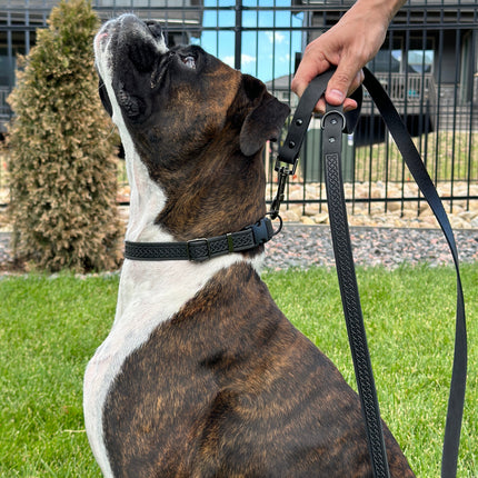 Celtic Sport Leather Dog Leash
