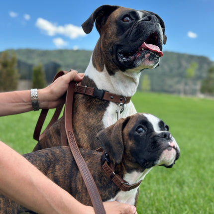 Celtic Sport Leather Dog Leash