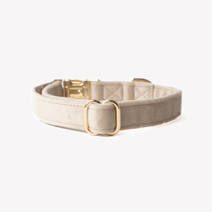 'Sand' - Velvet Dog Collar
