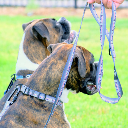 Outdoor Style Nylon Step-In Dog Harness