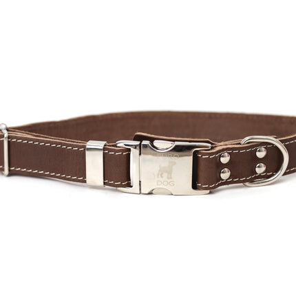 Quick-Release Style Leather Collar and Leash Set