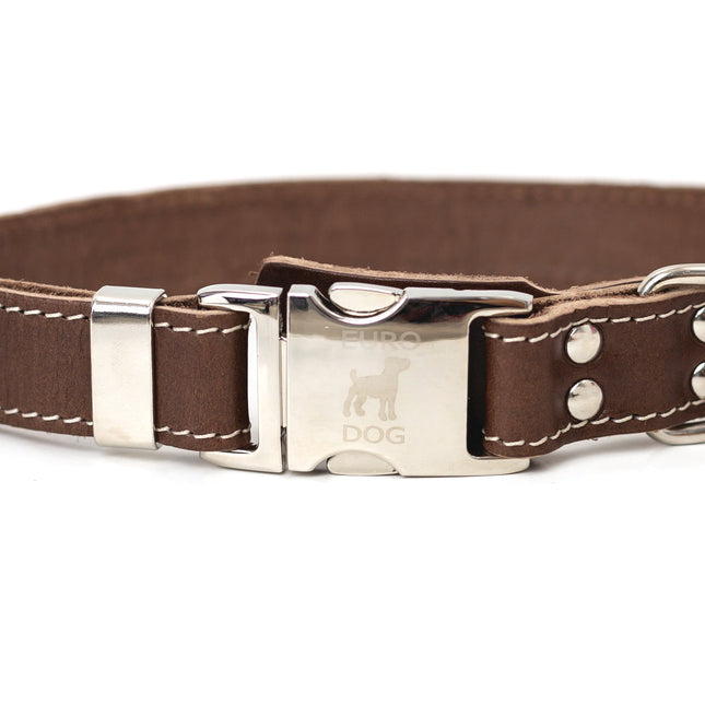 Pro Line Quick-Release Leather Dog Collar with Metal Buckle