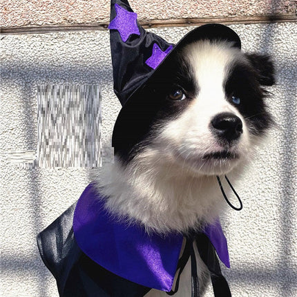 Pet Halloween Wizard Dressup Decoration Set