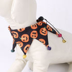 B44302 Black Pumpkin