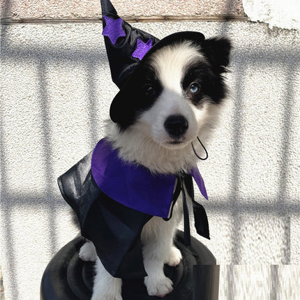 Pet Halloween Wizard Dressup Decoration Set