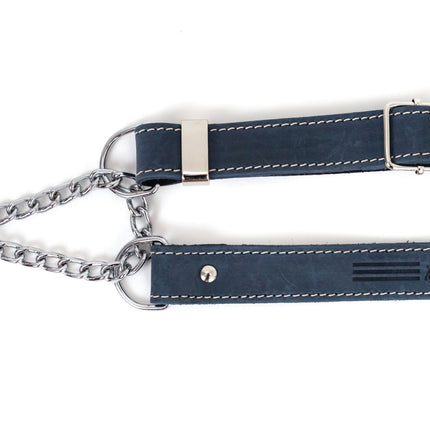 Martingale Leather Dog Collar