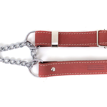Martingale Leather Dog Collar
