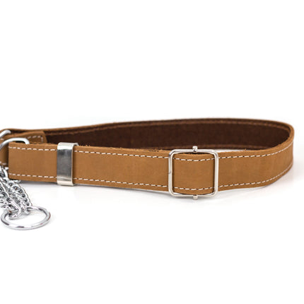 Martingale Leather Dog Collar