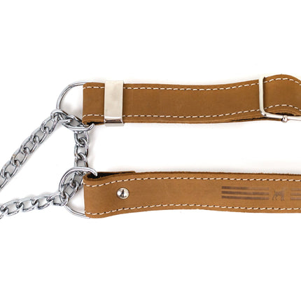 Martingale Leather Dog Collar