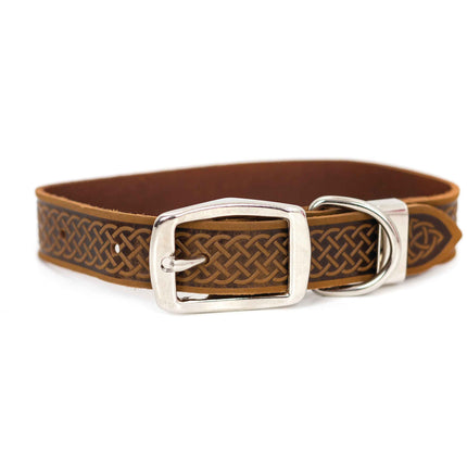 Celtic Double Buckle Style Leather Dog Collar
