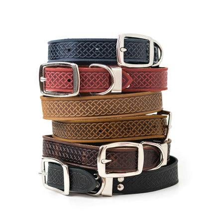 Celtic Double Buckle Style Leather Dog Collar