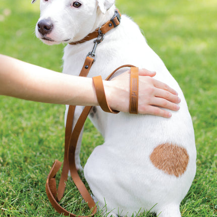 Sport Style Leather Dog Collar