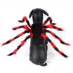 Black Red / M