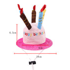 Birthday hat pink / M