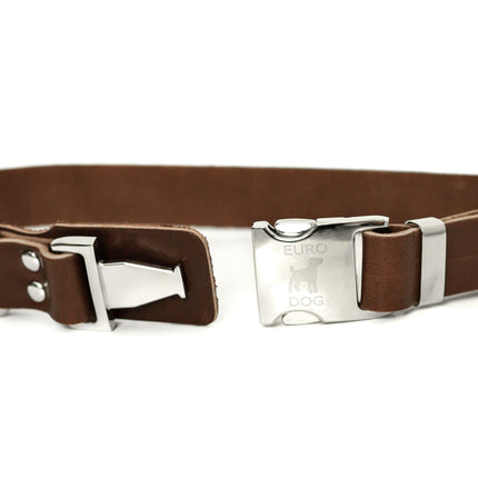 Modern Style Quick-Release Leather Dog Collar