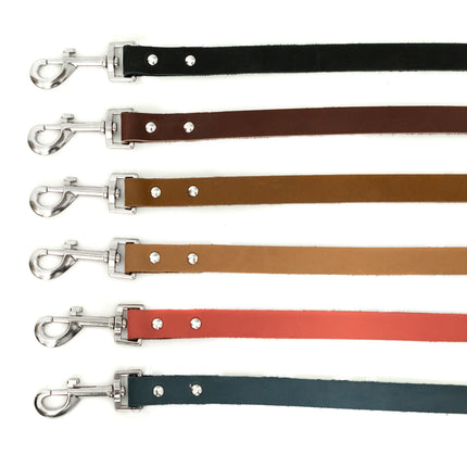 Modern Style Leather Dog Leash