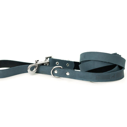 Modern Style Leather Dog Leash