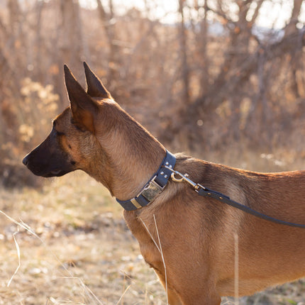 Modern Style Leather Dog Leash