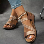 Dark Brown / 36