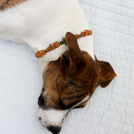Pet Necklace: Raw Baltic Amber + Natural Green Jade
