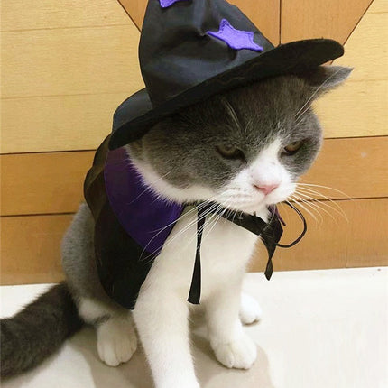 Pet Halloween Wizard Dressup Decoration Set