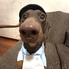 Handling With Hat Included / S