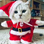 571 Christmas / XS