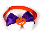 Purple Bow Tie / Universal