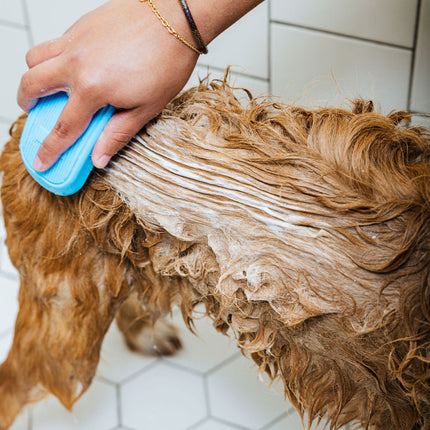 "Spaw" Day (Dog Shampoo & Conditioner Duo)
