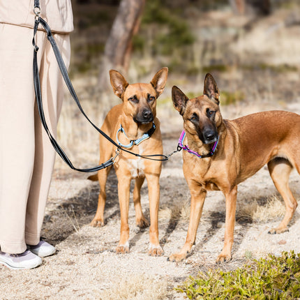 Outdoor Style Black Reflective Adjustable Double Leash
