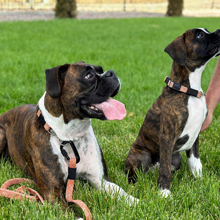 Climbing Rope Dog Collar