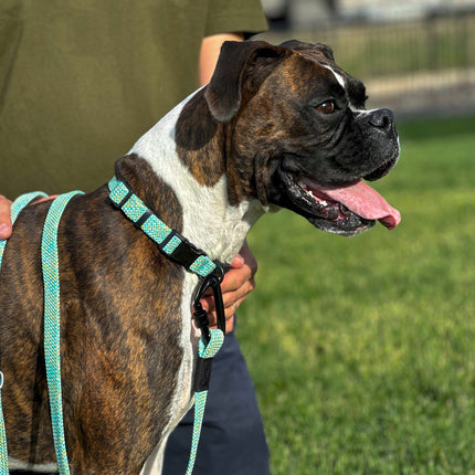 Mountain Flat Weave Climbing Rope Dog Leash