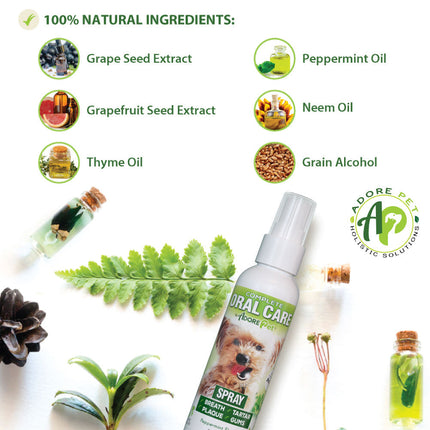 Oral Care Spray