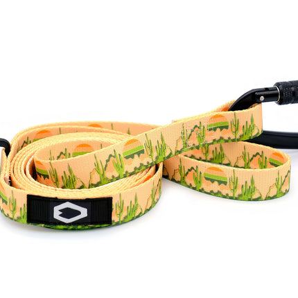 Outdoor Style Nylon Dog Leash