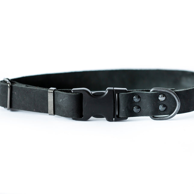 Sport Style Leather Dog Collar