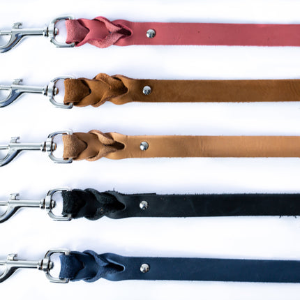 Pro Line Leather Braided Dog Leash