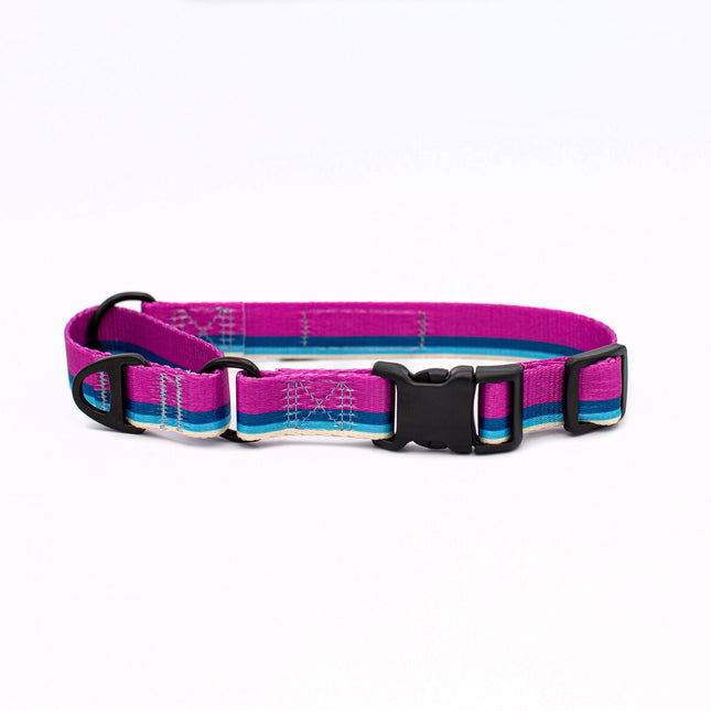 Outdoor Style All Nylon Martingale Collar