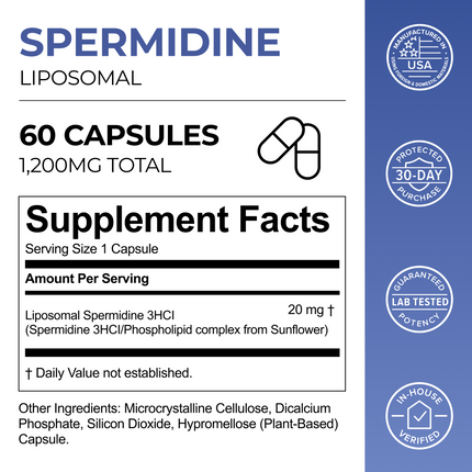 Liposomal Spermidine Capsules - Dashing Nova