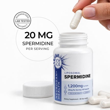 Liposomal Spermidine Capsules - Dashing Nova