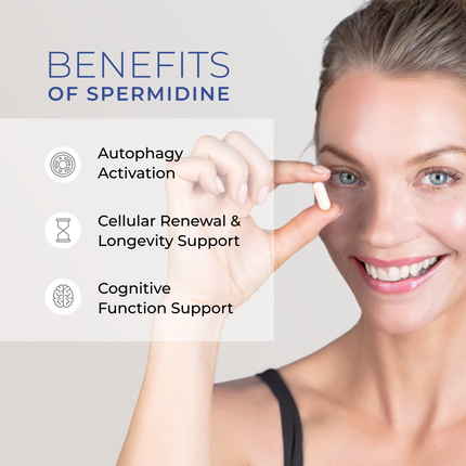 Liposomal Spermidine Capsules - Dashing Nova