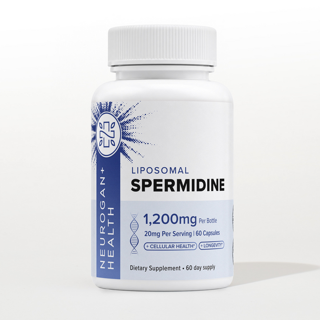 Liposomal Spermidine Capsules - Dashing Nova