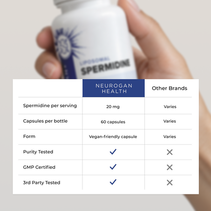 Liposomal Spermidine Capsules - Dashing Nova