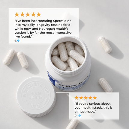 Liposomal Spermidine Capsules - Dashing Nova
